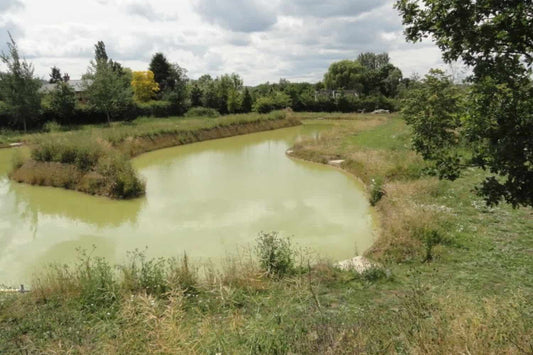 DISCOVER THE TOP FISHING LOCATIONS IN THE COUNTY OF BEDFORDSHIRE