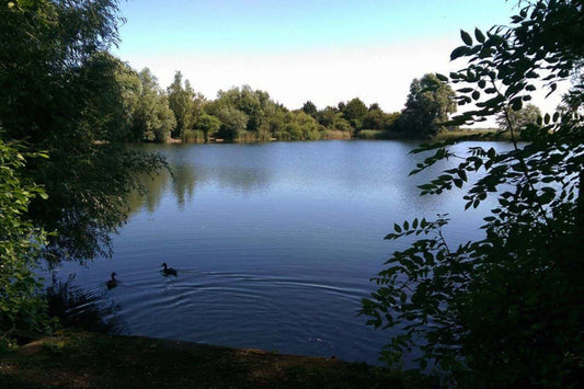 DISCOVER THE TOP FISHING LOCATIONS IN THE COUNTY OF CAMBRIDGESHIRE