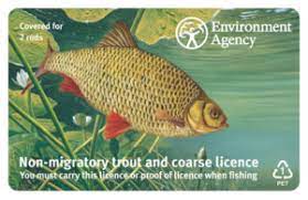 WHERE CAN I BUY A ROD FISHING LICENCE FOR ENGLAND AND WALES?