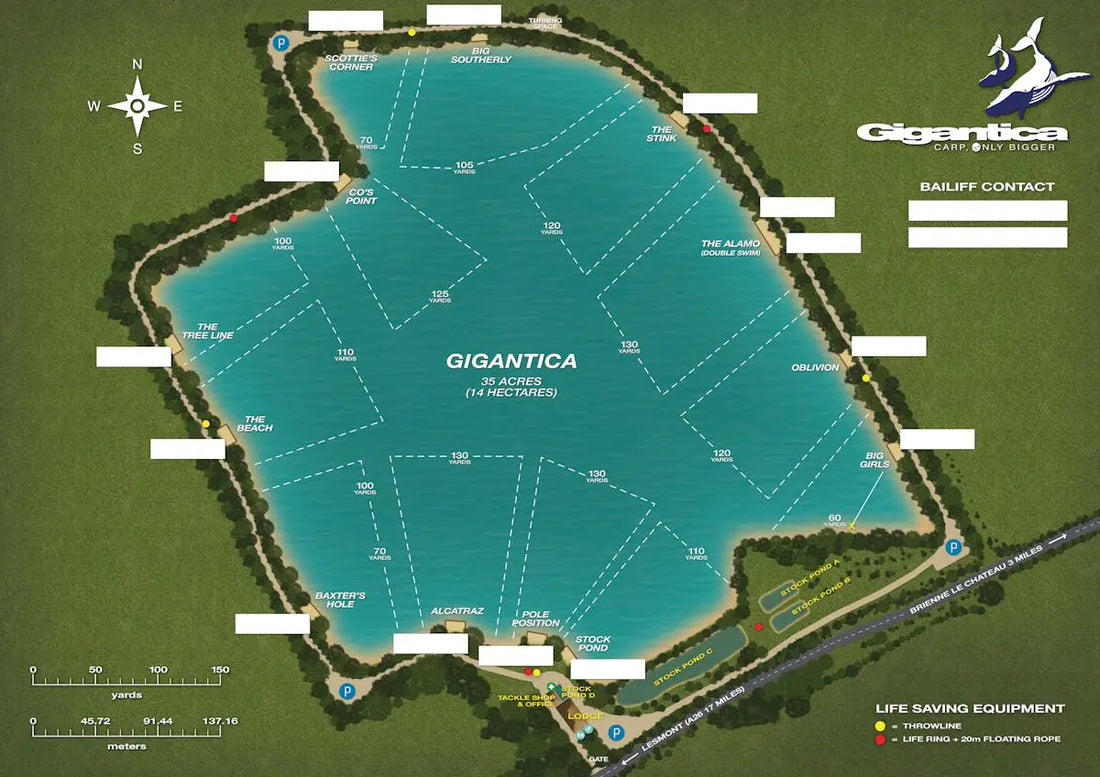 Gigantica