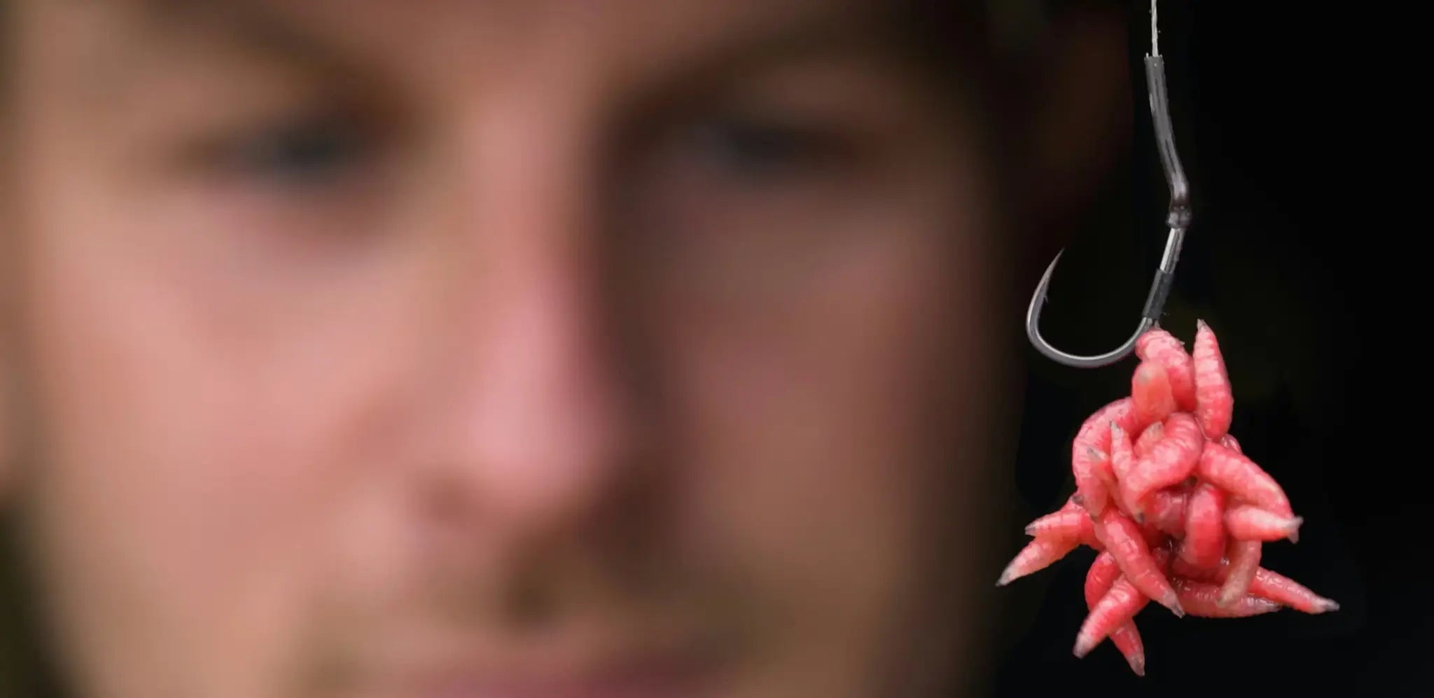 Pink segmented bait worms clustered on fishing hook for maggot clip rig