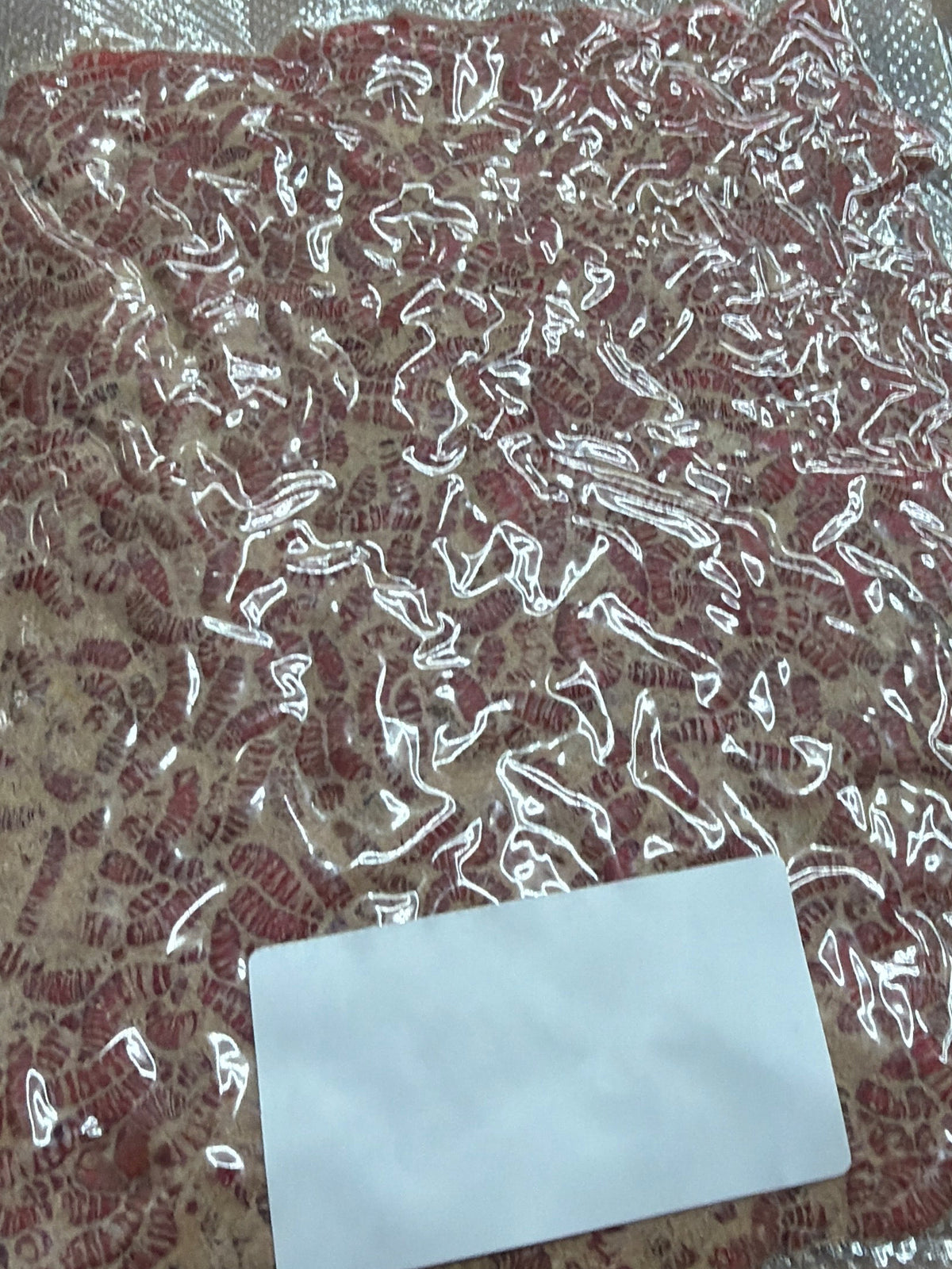 Dead RED Maggots 1/2 Pint