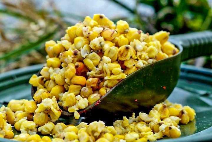 Load image into Gallery viewer, Maize
