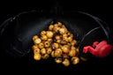 Carp Fuel Particles
