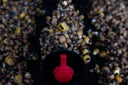 Carp Fuel Particles