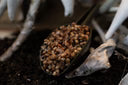 Carp Fuel Particles