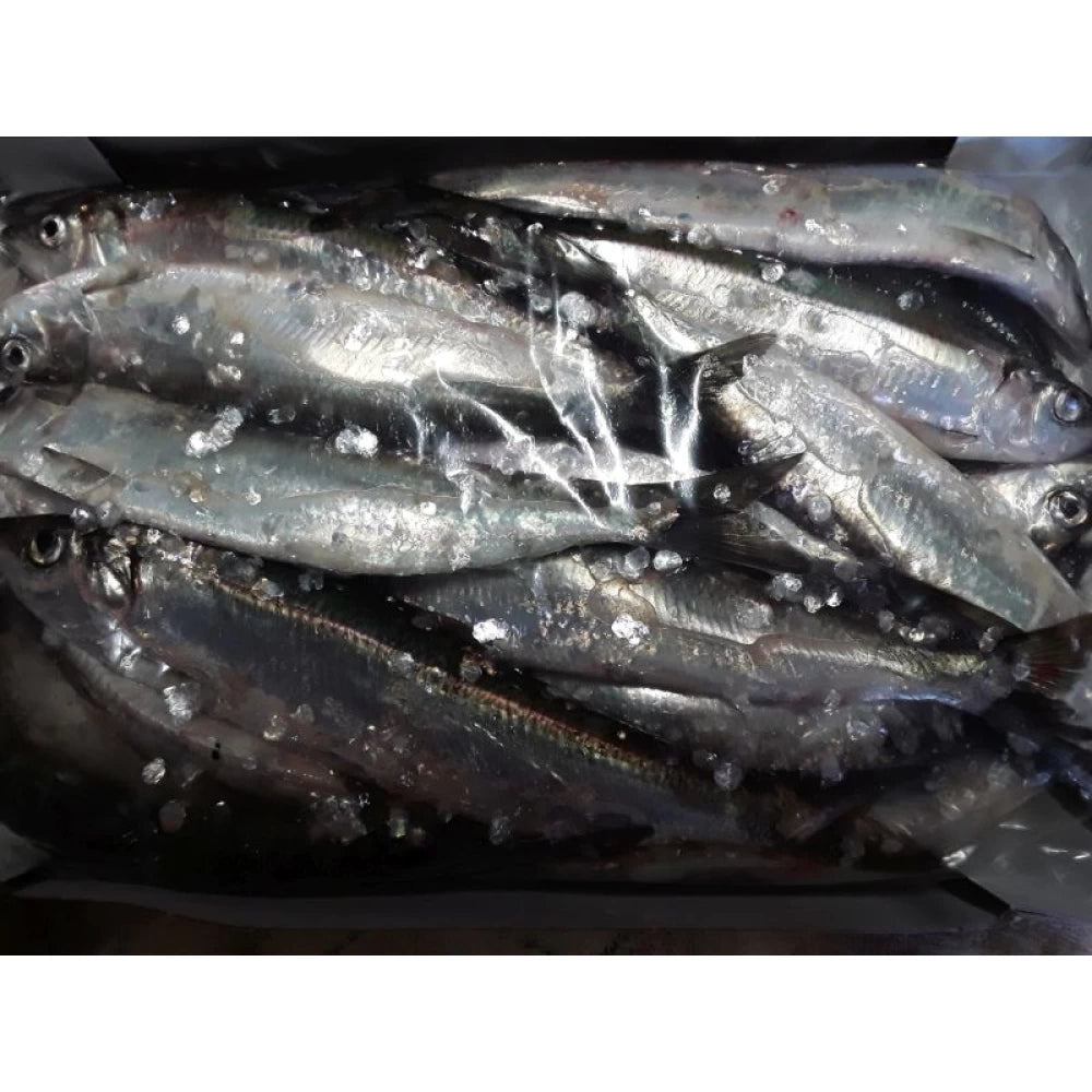 Herring x3 fish