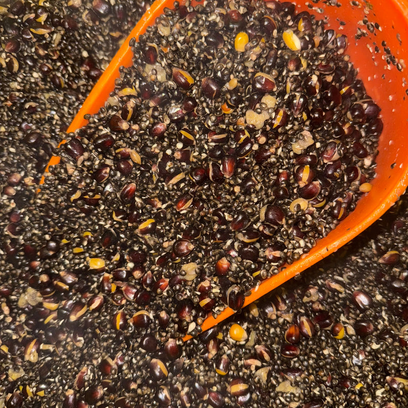 Load image into Gallery viewer, Hemp &amp; Red Maize
