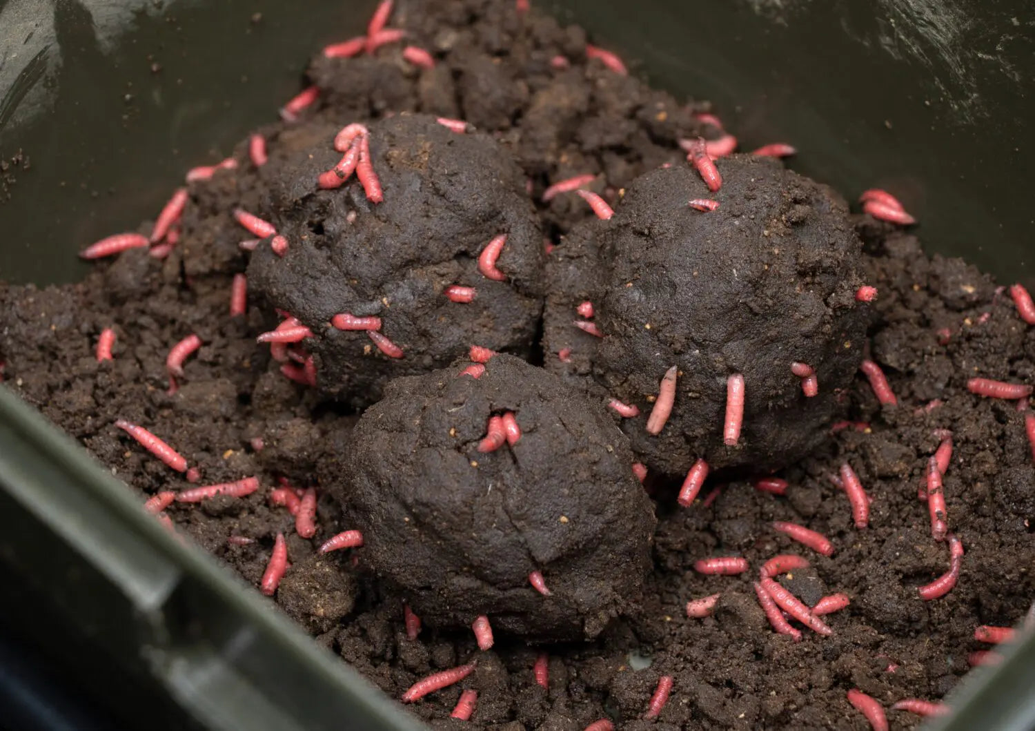 DNA BAITS - Insect Meal - 5kg