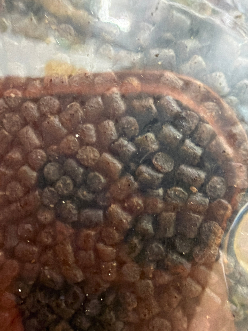 Stevenage Bait and Tackle High Oil 2mm Pellets 1kg