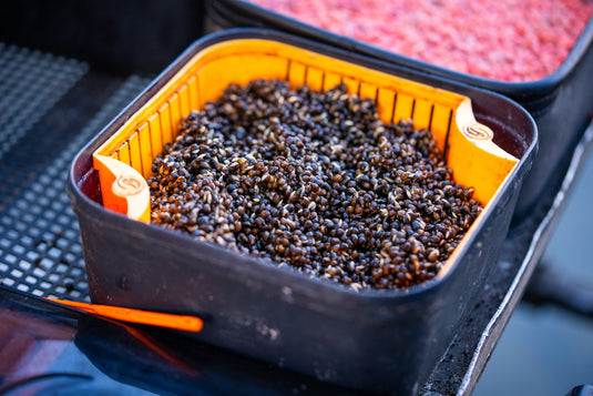 Tackle Guru - Bait Box 2.2 Pint Orange