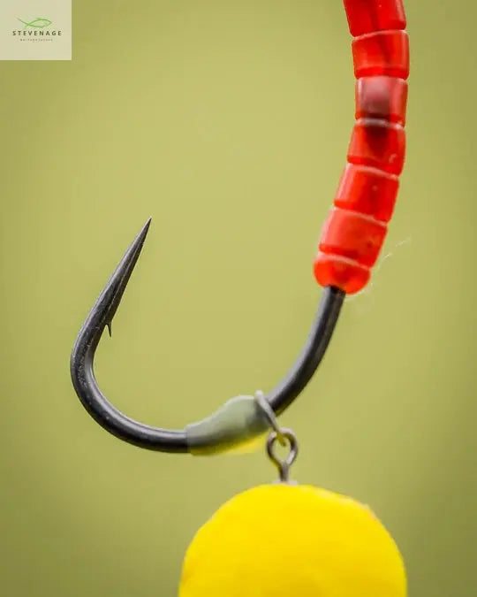 CASSIEN-SURRENDER-CONTI-HOOKS ONE MORE CAST