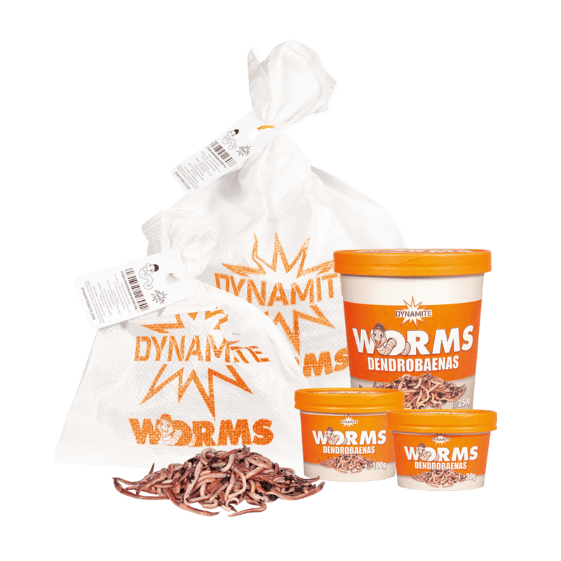 Load image into Gallery viewer, DYNAMITE - Dendrobaenas Worms
