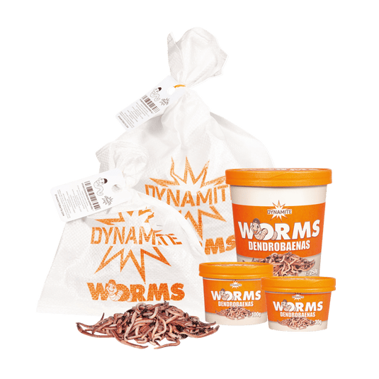 DYNAMITE - Dendrobaenas Worms