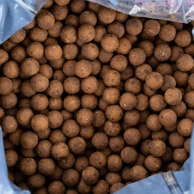 DNA BAITS -The Bug 1kg Shelf Life Bait 20mm