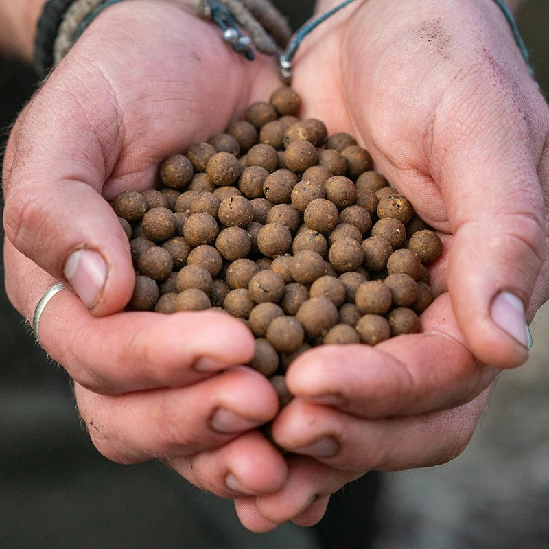 DNA BAITS -The Bug 1kg Shelf Life Bait 20mm