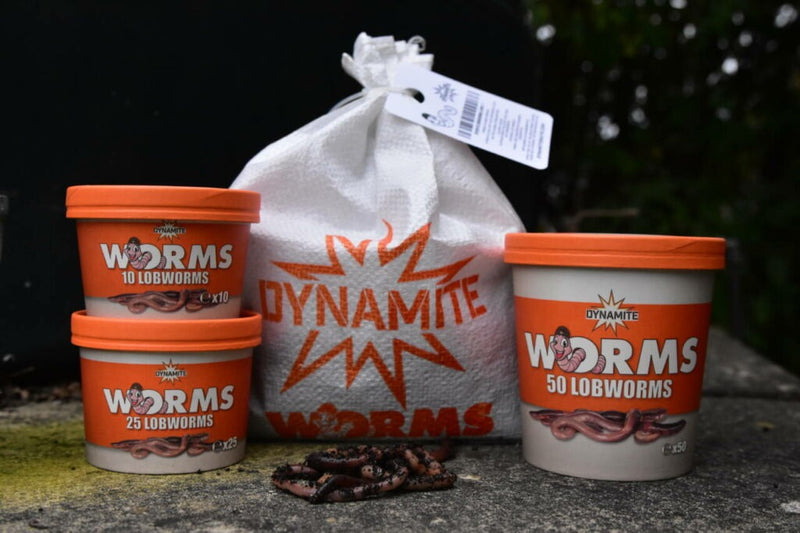 Load image into Gallery viewer, DYNAMITE - Dendrobaenas Worms
