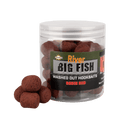 Big Fish River Washed Out Barbel Hookbaits Robin Red