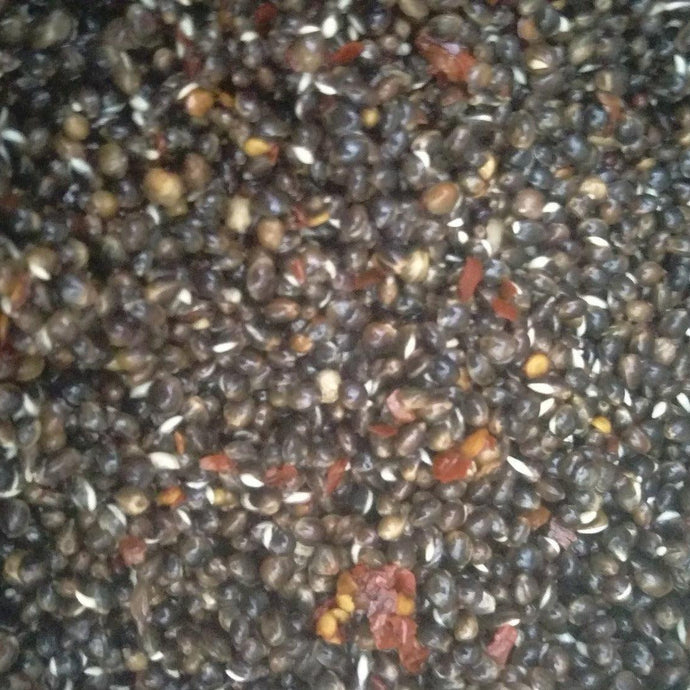 Chilli Hemp Seed