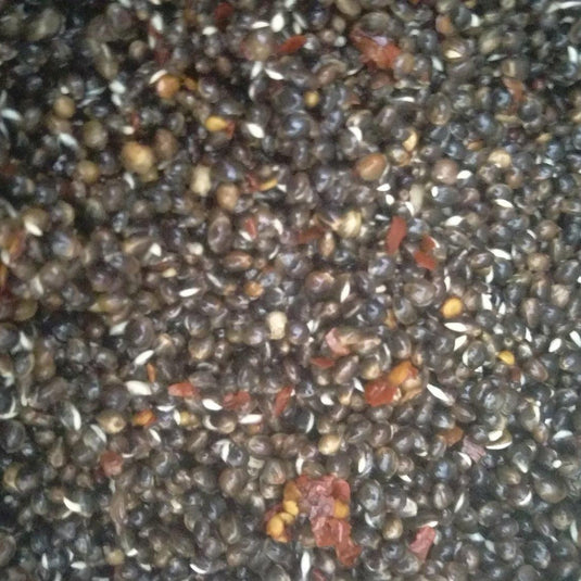 Chilli Hemp Seed