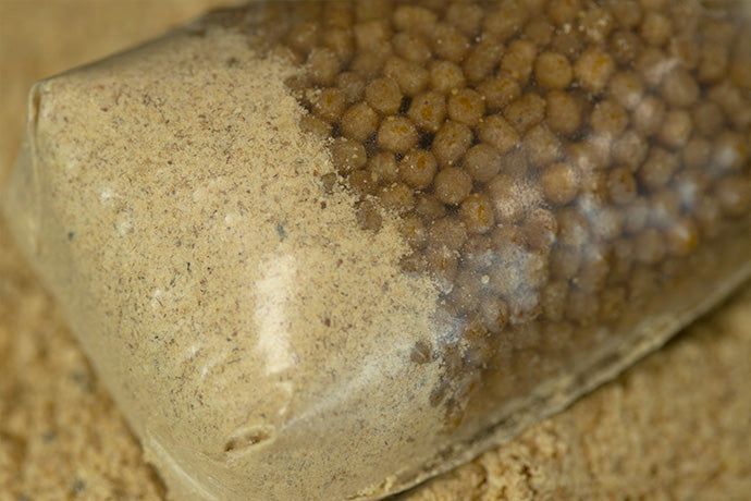 Sticky Baits -Manilla Active Mix 900g Bag