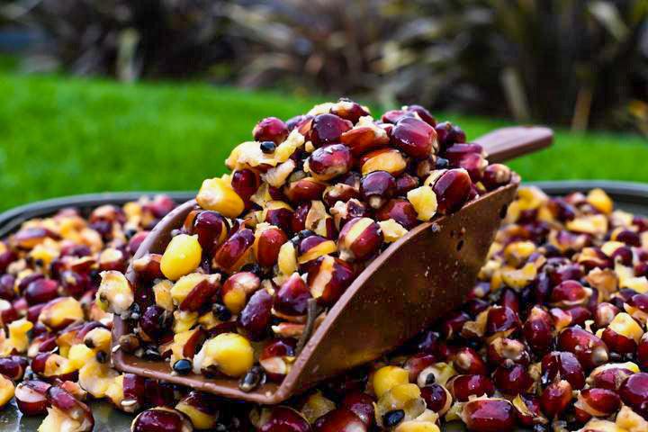 Load image into Gallery viewer, Red Maize
