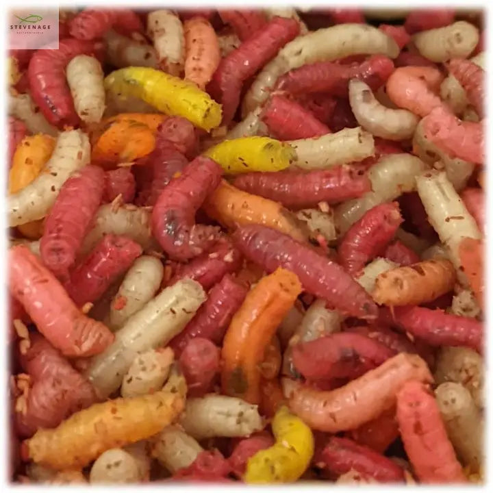 Load image into Gallery viewer, Maggots Red White Mixed in Colour Willy Worms
