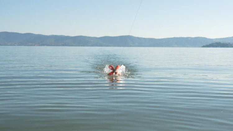 Load image into Gallery viewer, Spyder Spod UK
