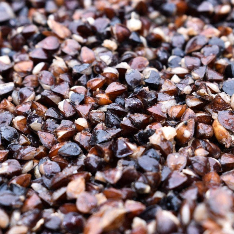 Load image into Gallery viewer, Buckwheat
