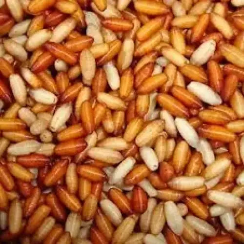 Casters 1 Stevenage Bait and Tackle