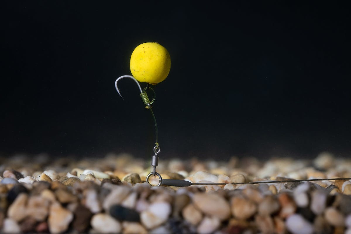 How To Tie The Hinge Stiff Rig