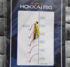 Load image into Gallery viewer, NGT Purple Hokkai Rig
