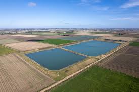 Lyons Drove Fishery Social Event Stevenage Bait and Tackle 21st-23rd september