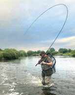 Load image into Gallery viewer, Normark Legacy Rods
