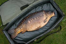Carp Care & Nets