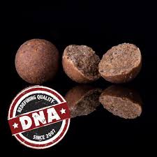 DNA Baits Secret 7 1kg Shelf Life 20mm