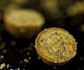 Sticky Baits Manilla Active Shelf Life Boilies 1kg