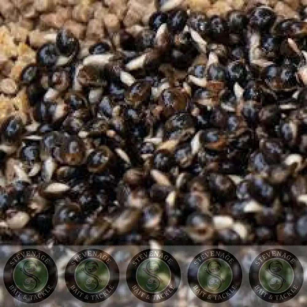 Dynamite Baits -FRENZIED HEMPSEED CAN 700g DYNAMITE BAITS