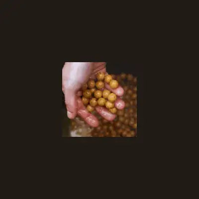 A hand holds small round golden brown dynamite baits peppered fruit boilies 12mm for fishing bait use