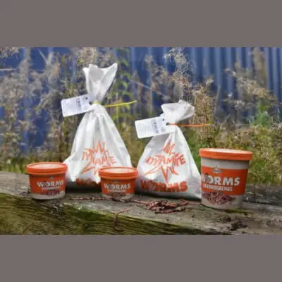 DYNAMITE - Dendrobaenas Worms DYNAMITE BAITS