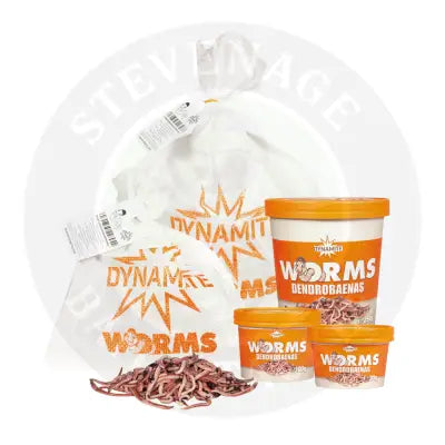 DYNAMITE - Dendrobaenas Worms DYNAMITE BAITS
