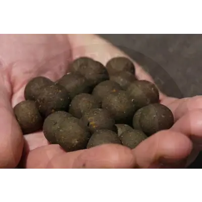 Elevate Baits Garlic Infusion Boilies 15mm 1kg Elevate Baits
