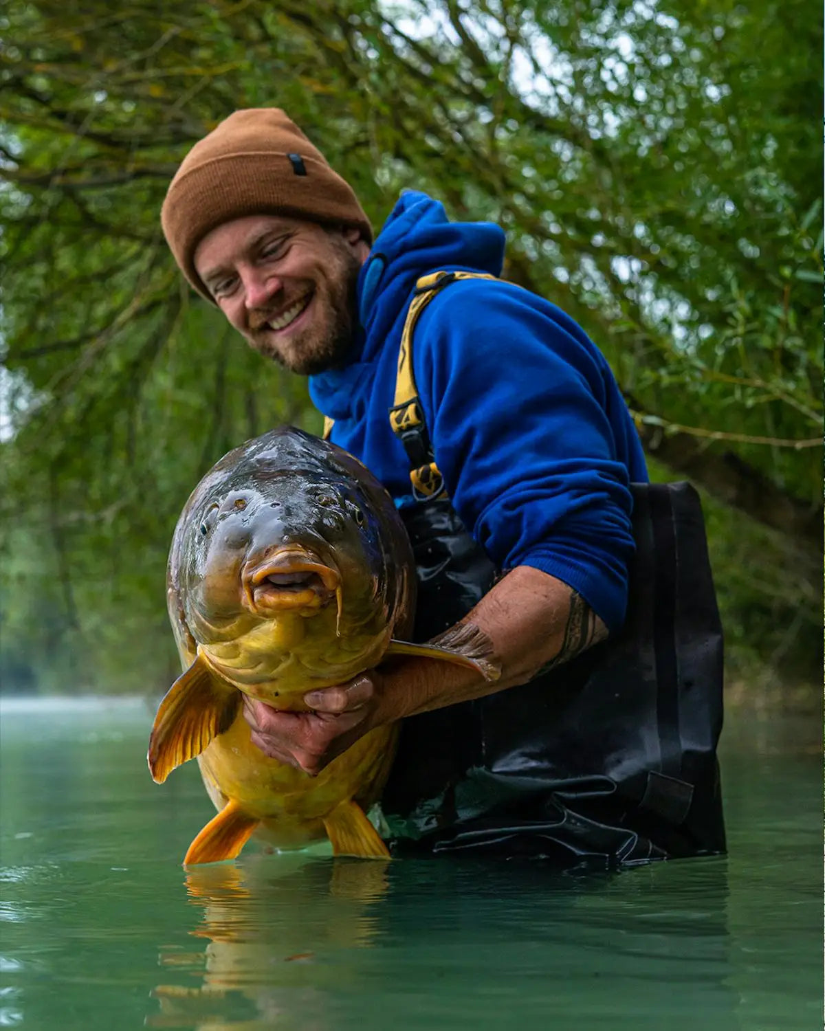 Gigantica