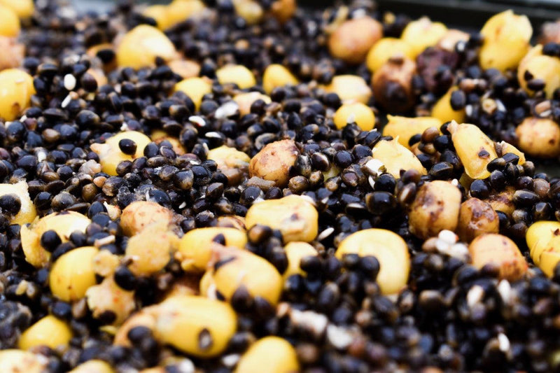 Load image into Gallery viewer, Hemp &amp; Maize &amp; Tigers (H.M.T)
