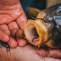DNA BAITS - Secret 7 1kg Shelf-life 15mm