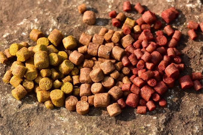 DYNAMITE BAITS BIG FISH RIVER PELLETS