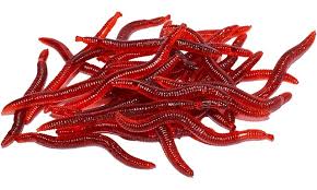 Stevenage Bait And Tackle Fake Worms