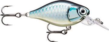 Rapala X-Light Crank Mid Runner Fishing Lure - Finesse Crankbait Lure Colour 3.5cm