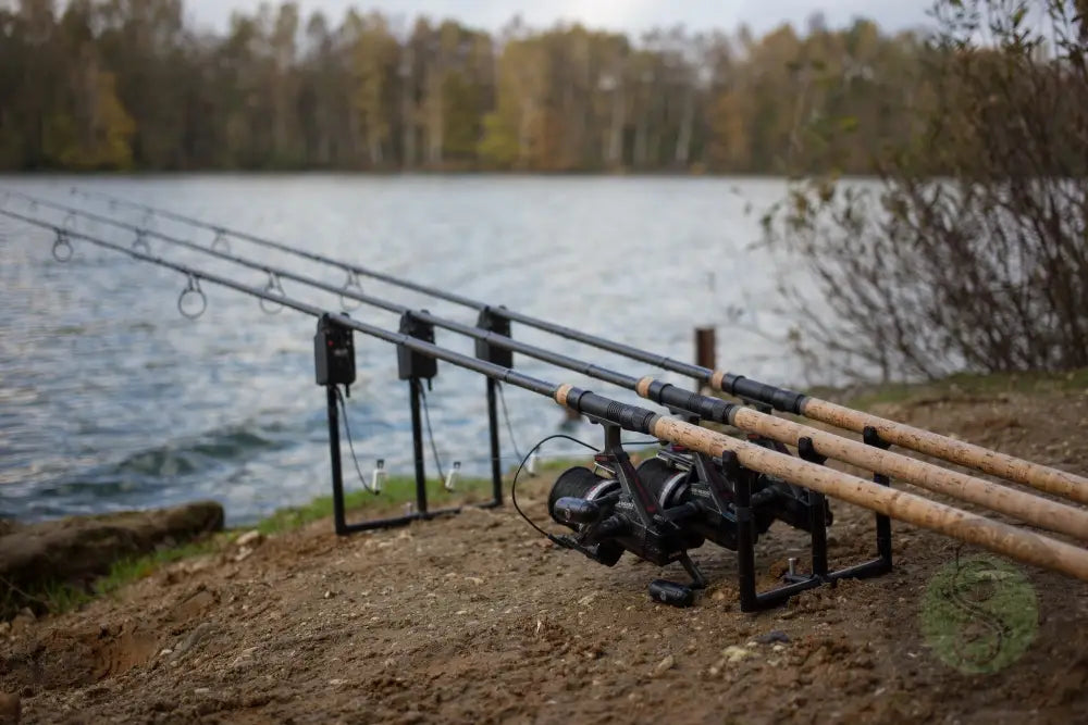 Korda - Singlez Upright Black KORDA