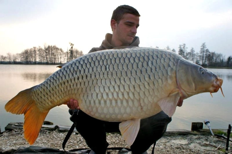 Jonchery french carp lakes with 60lb carp